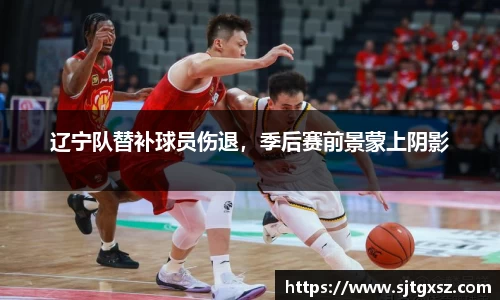 辽宁队替补球员伤退，季后赛前景蒙上阴影