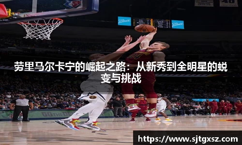 劳里马尔卡宁的崛起之路：从新秀到全明星的蜕变与挑战